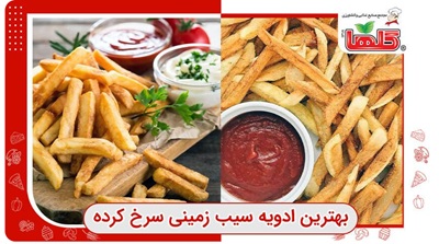 بهترین ادویه و چاشنی ها برای سیب زمینی سرخ کرده خانگی (به سبک رستورانی)